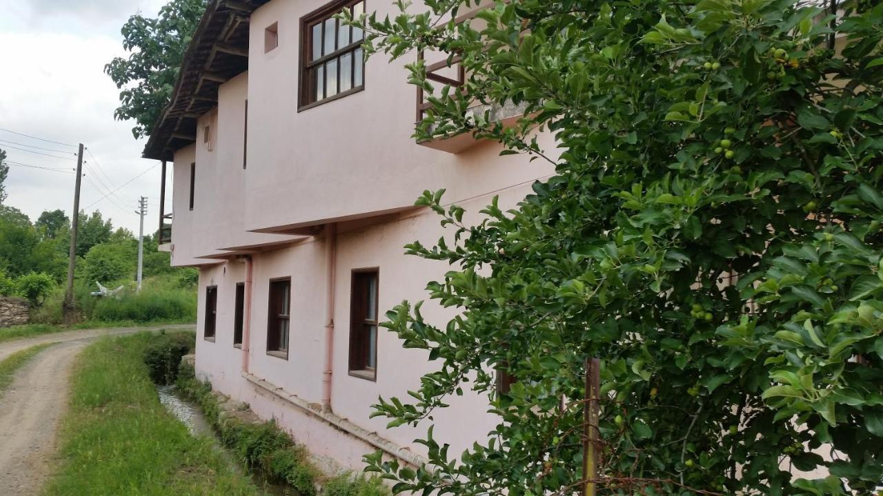 Elmas Pansiyon Karacasu  외부 사진